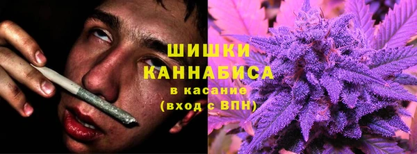 spice Корсаков