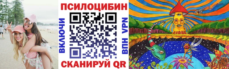 Псилоцибиновые грибы GOLDEN TEACHER  Купить закладки  Валуйки 